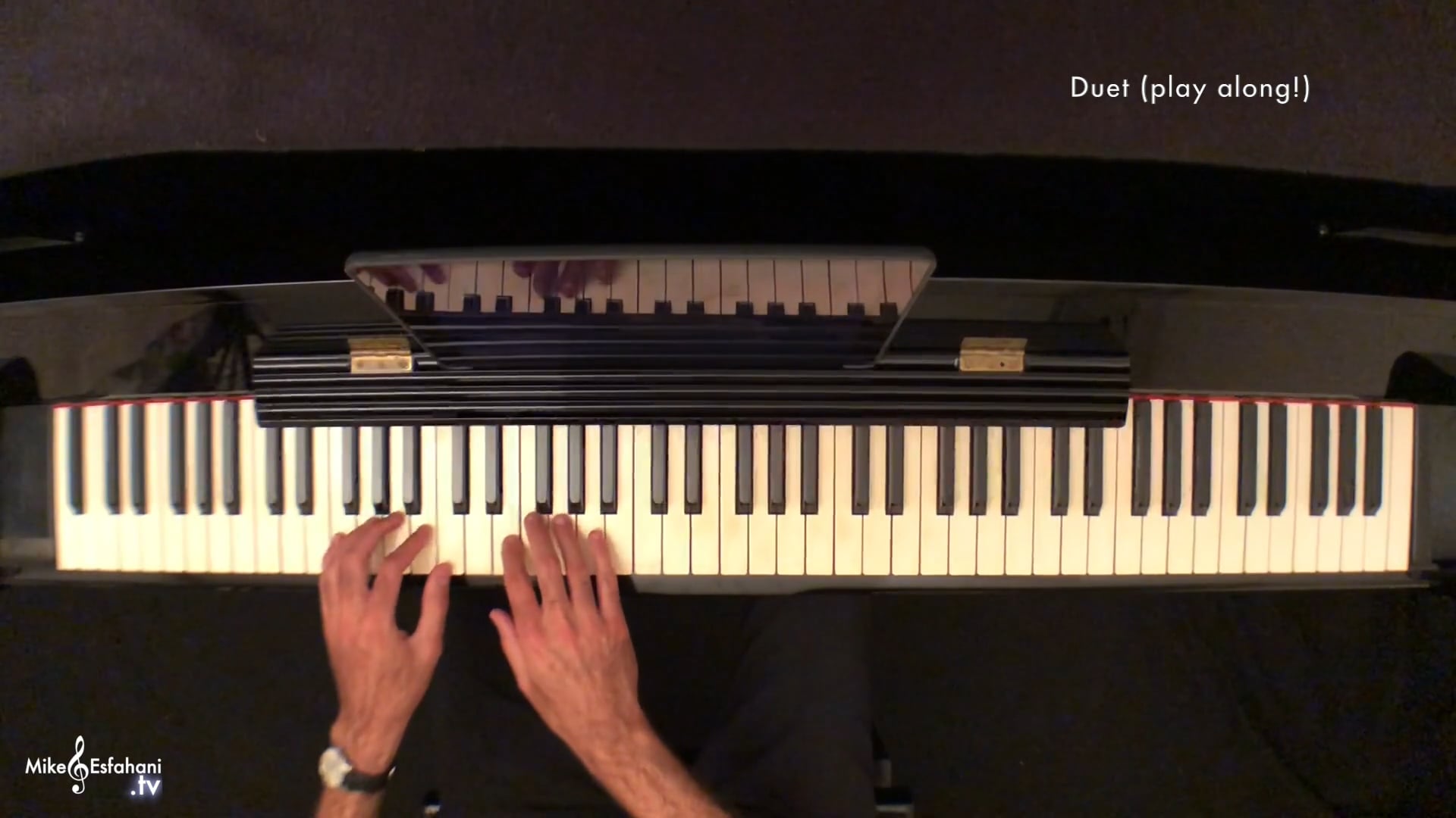 Lesson on "Puppies and Guppies"