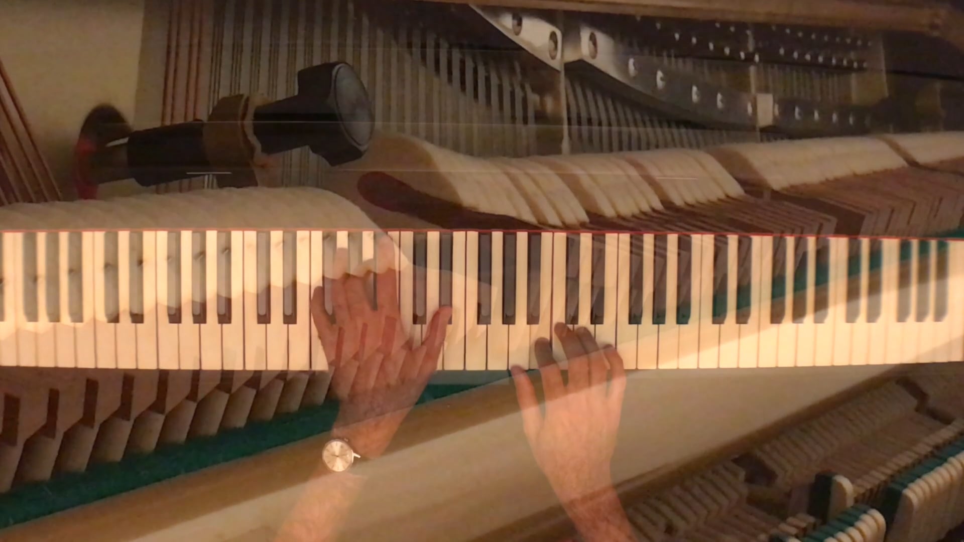 Lesson on "Thumbs on C!" (Adult courses)