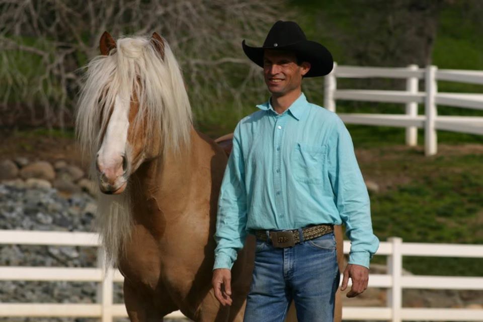 Marcoe the Haflinger Stallion in Equestrian Connection Part 1.pdf