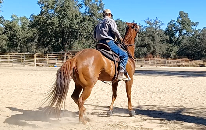Teach the Anxious Horse How to Relax - Part 1 - Jaxs, Barrel Racing -