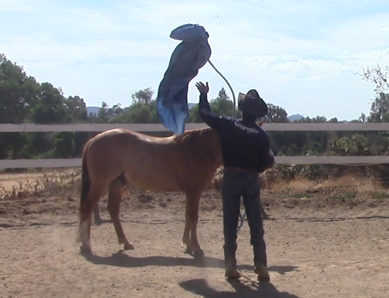 Bolting, Out of No Where, Out of Control (Part 2)