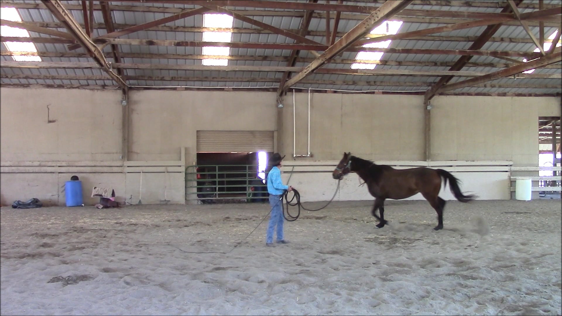 The Buck Stops Here (Part 1, Ground and Saddles Exercises)*
