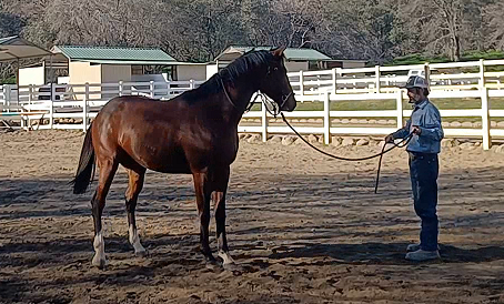 Trouble Shooting Behavior Issues