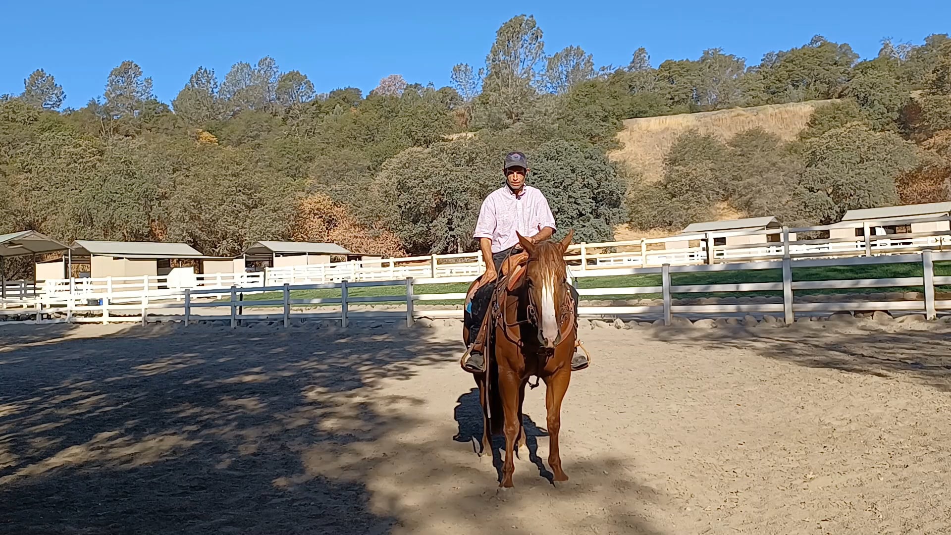Connecting With Your Horse Under Saddle Episode 3