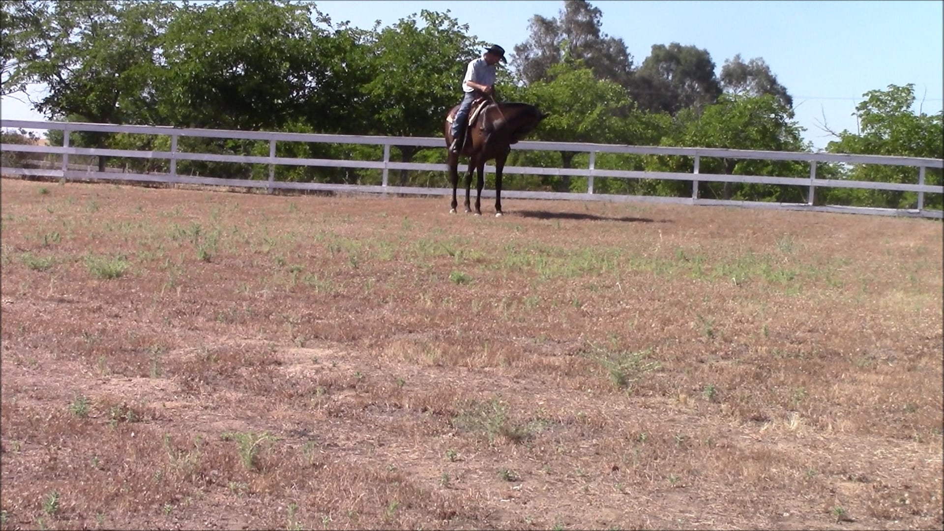 Cure Your Barn Sour Horses (Part 3, Saddle Exercises)*