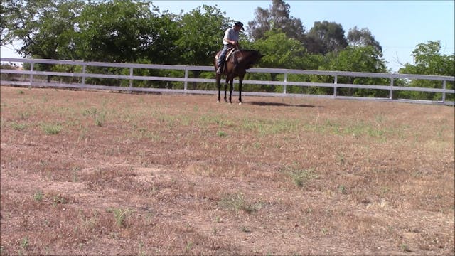 Cure Your Barn Sour Horses (Part 3, S...