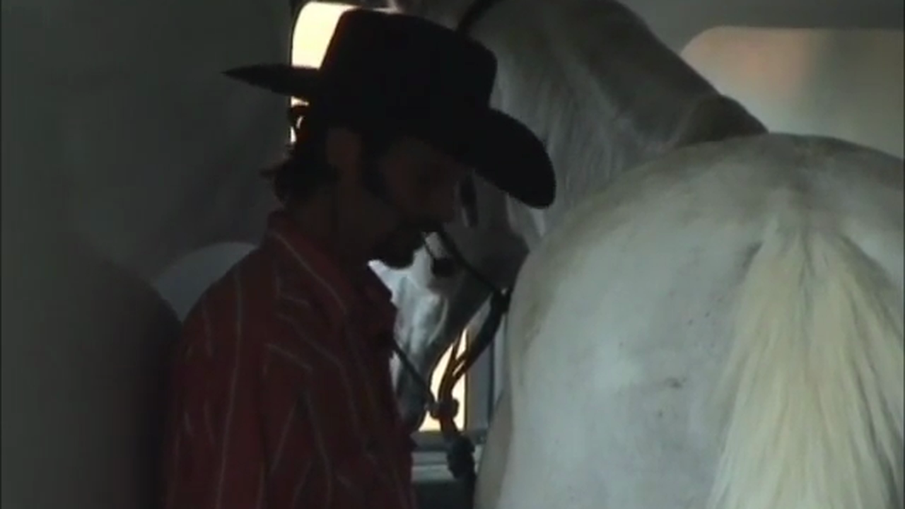 Trailer Loading (Part 2)