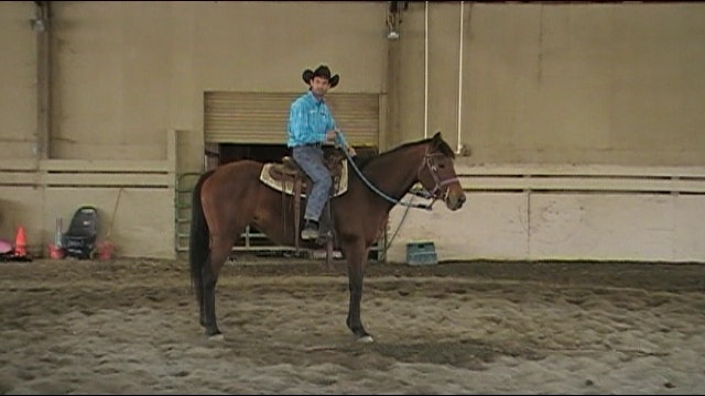 The One Rein Stop Is Your Saftey Net (Ground and Saddle Exercise)*