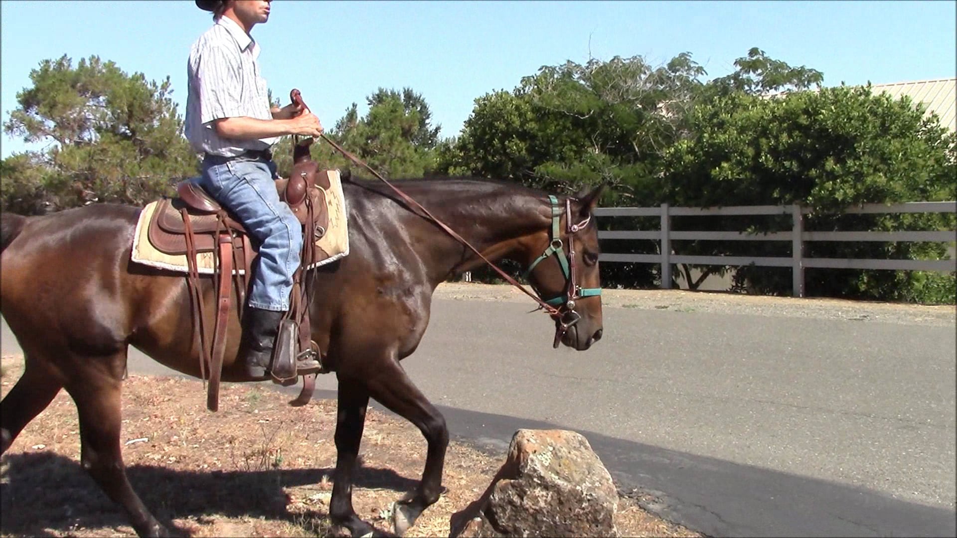 Solving Barn Sour Behavior (Part 2, Saddle Exercise)*