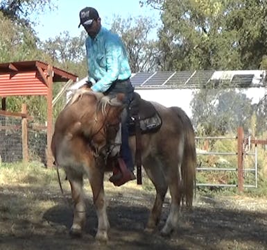 Starting The Blind Horse Under Saddle...