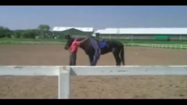 Working Horse that spook, Canada's Ou...