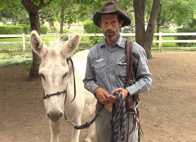 Train Your Donkey How to pack (Part 1. Ground Exercise)*