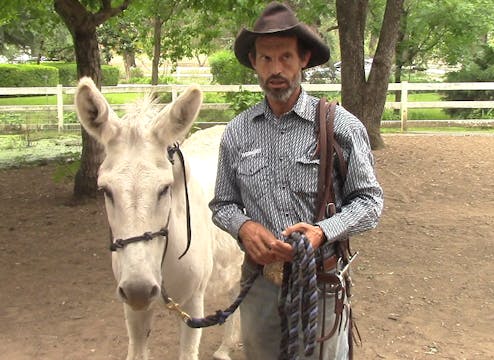 Train Your Donkey How to pack (Part 1...