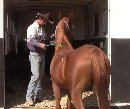 Teaching The Nervous Horse To Trailer...