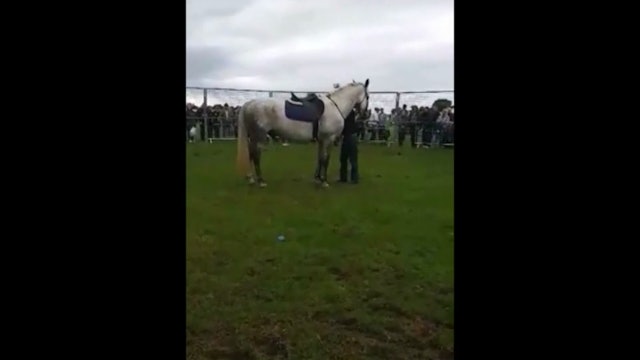 Mounting and Dismounting Issues, Demo, Norfolk United Kingdom (Special Event)*