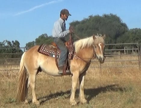 Starting The Unbroke Horse Under Saddle