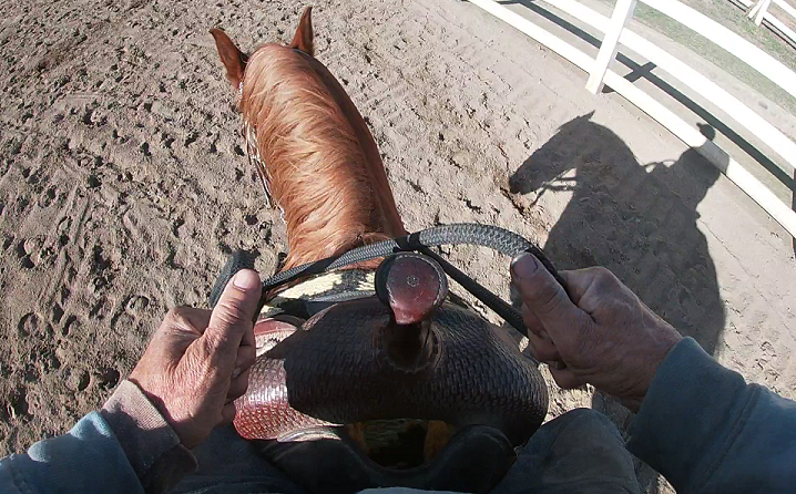 What To Do When Your Horse Keeps Breaking From Canter To Trot (Saddle Exercise)