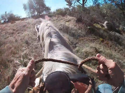 Working With Spooky Horses On the Trails, Click Here to Watch the Preview