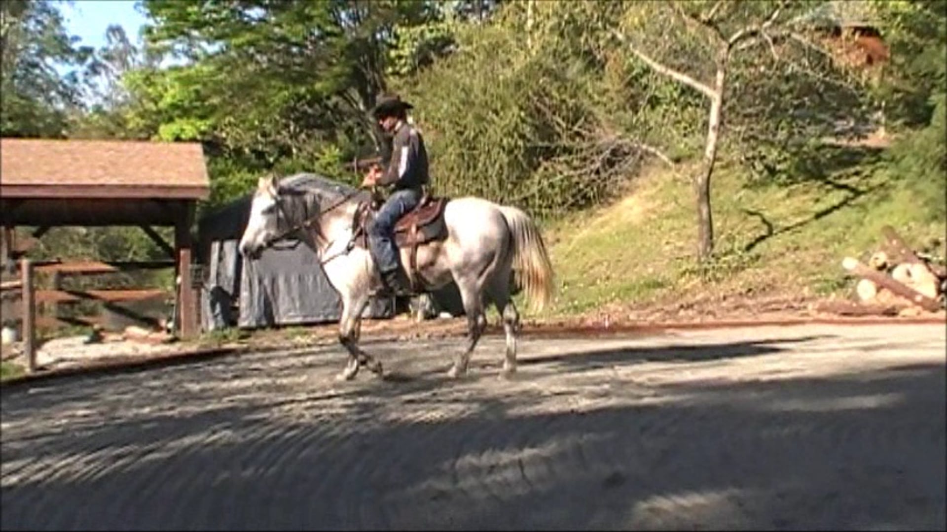 Introducing your heals to your horse (Saddle exercise)*
