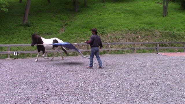 Building Confidence in the spooky hor...