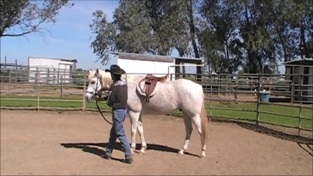Evaluating The New Horse (Ground and Saddle Exercises)*