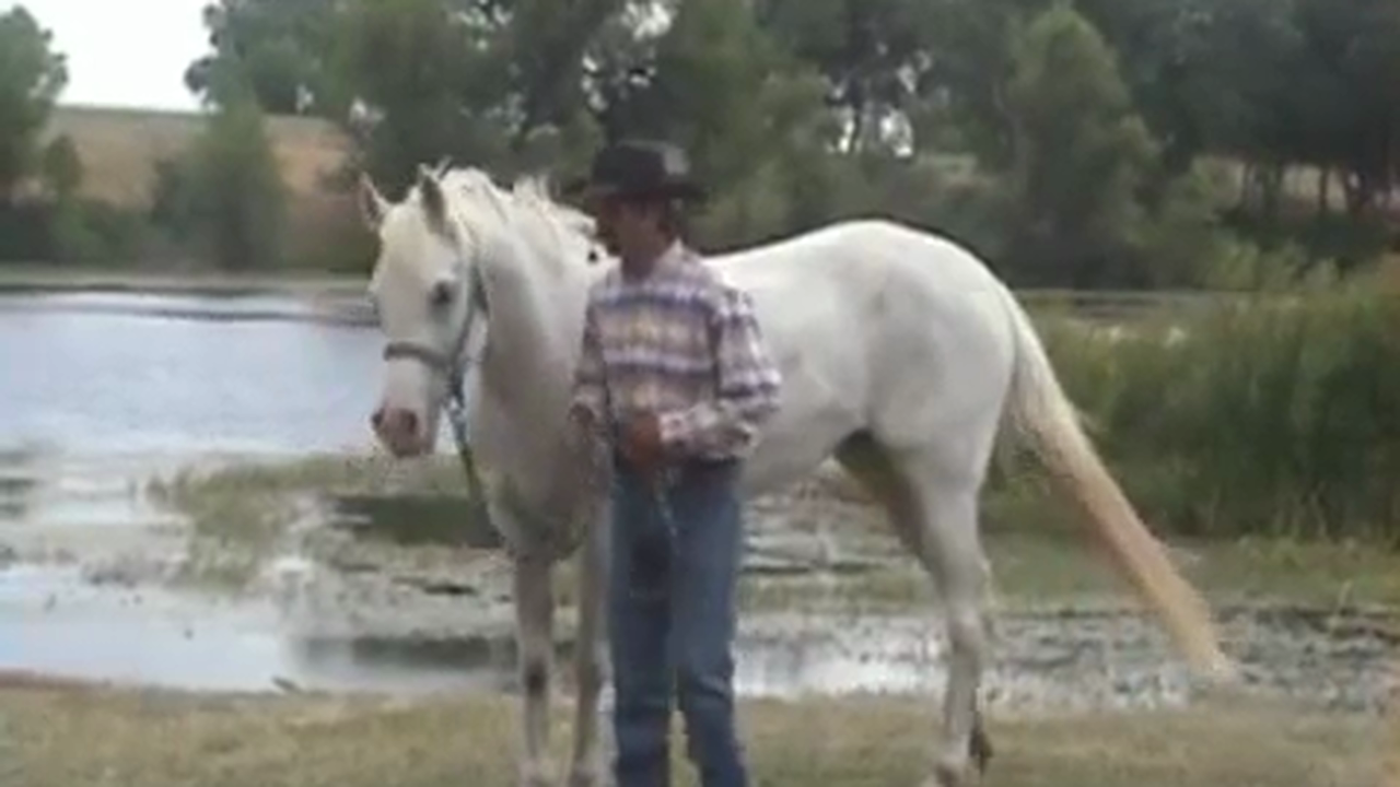 Kids with Cancer Foundation, (Special Event)*