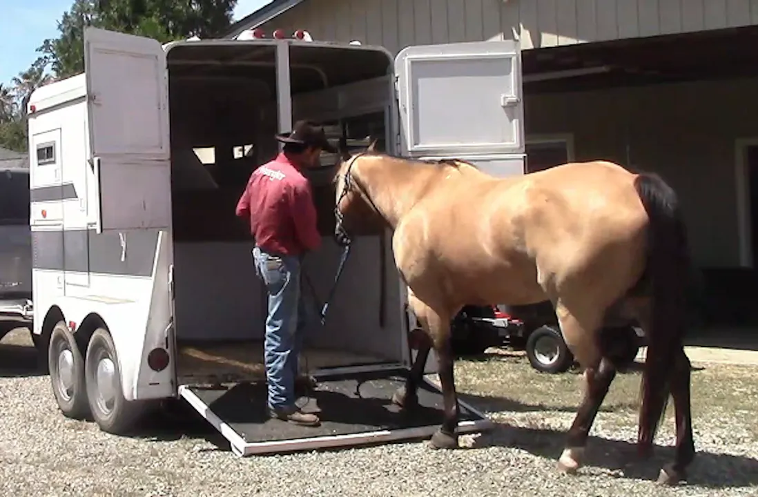 How To Safely Teach Your Horse Load Into A Trailer, (Ground Exercise ...