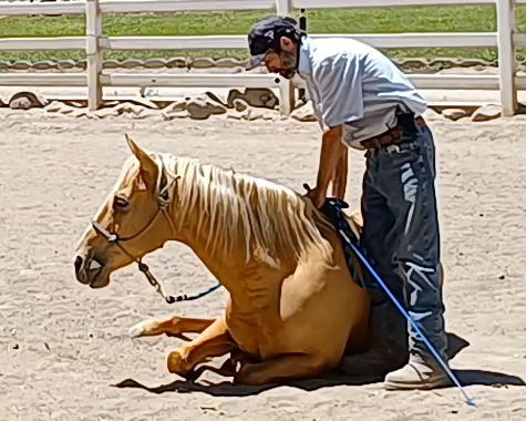 Episode 2 - Connecting With Your Horse Built On Confidence and Trust - Preview 
