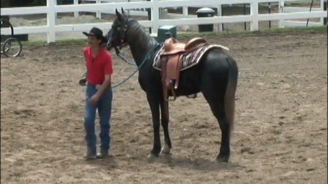 Starting the Unbroke Horse (Part 4, Ground, Mounting and Dismounting Exercises)*