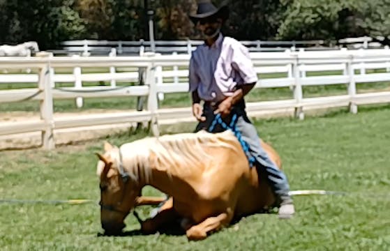 Horse & Rider Confidence - Episode 3 ...