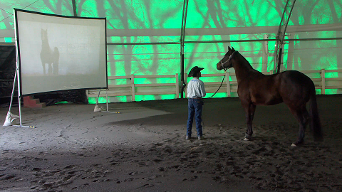 Big Screen Desensitizing, Episode 2 (Face Your Fears)