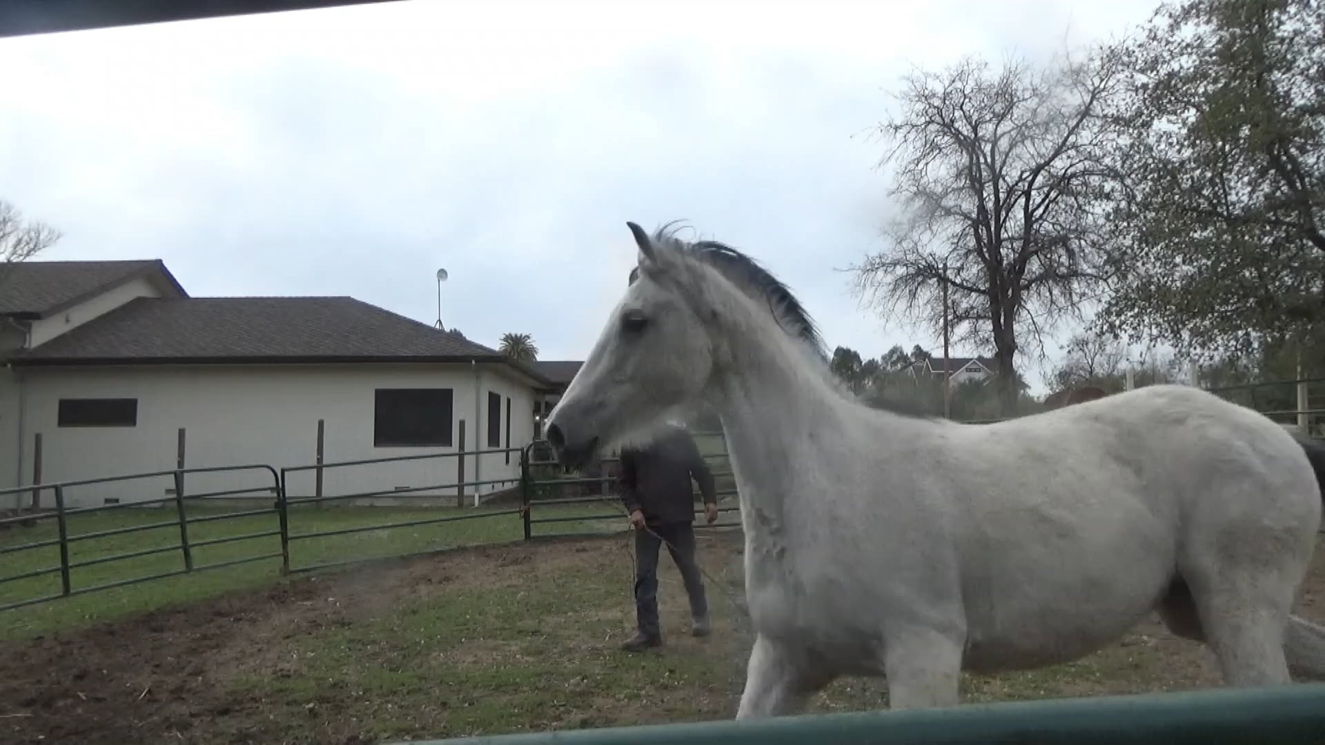 Beat and Abused, Recovering With Confidence Part 2