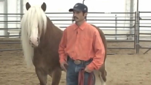 Back to the Basics of Horsemanship