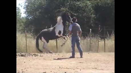 The Aggression Stops Here (Ground Exercises)*