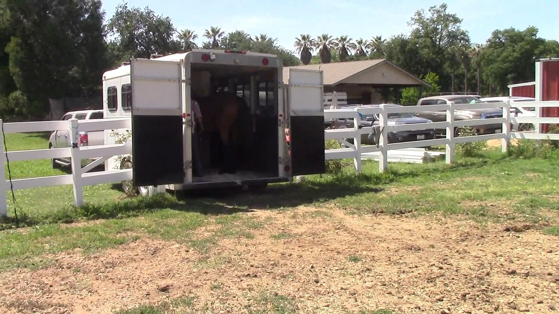 Teaching Your Horse to stay in the trailer (Ground Exercise)