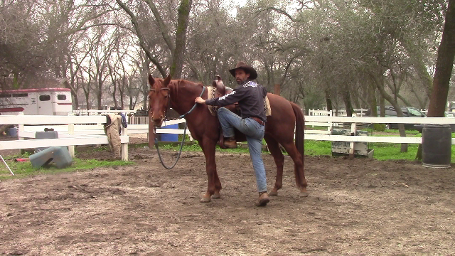 Mounting and Dismounting (Video Tip)*