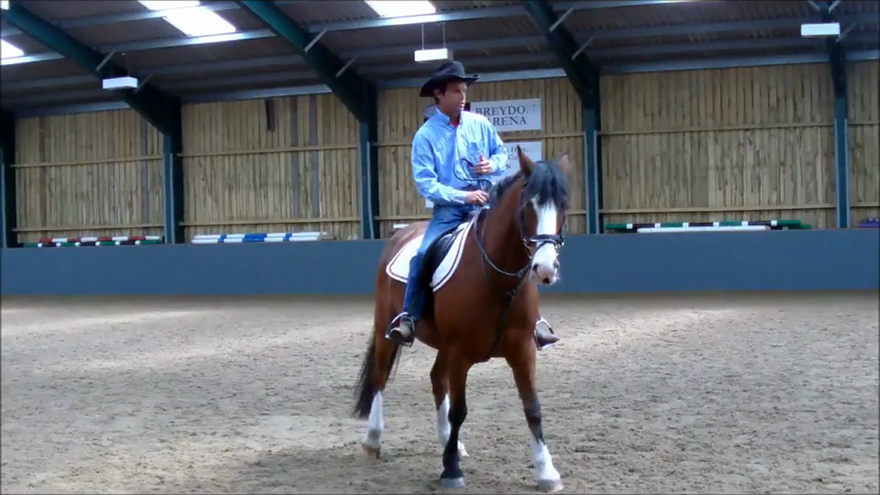 Solving Separation Anxiety issues, Demo, Norfolk United Kingdom (Special Event)*