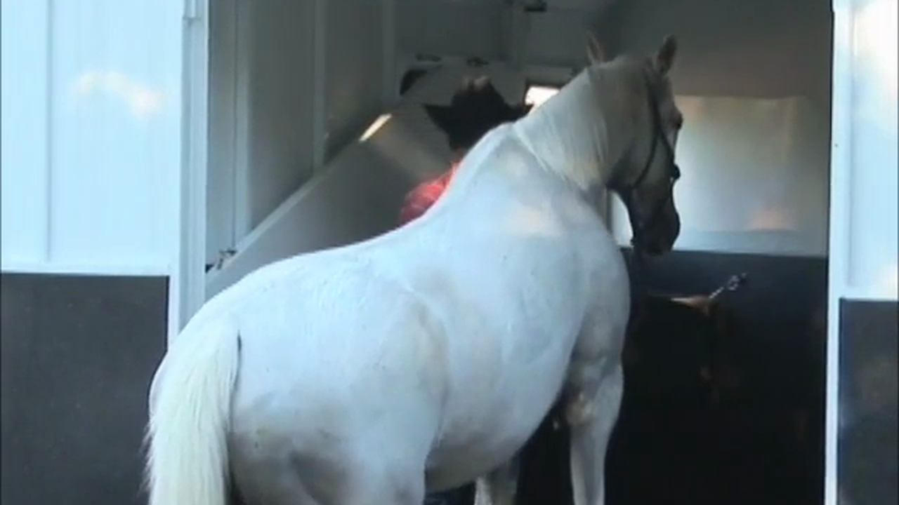 Trailer Loading (Part 1)