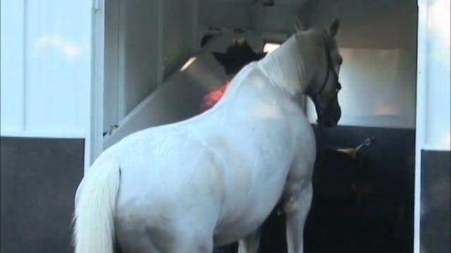 Trailer Loading (Part 1)