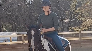 Reasons and Solutions for High Headed Horses