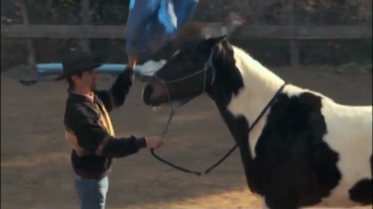 Weaving and Stall Walking (Part 1, Ground Exercises)*