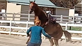 Correcting Lunging Issues Lesson (Preview)