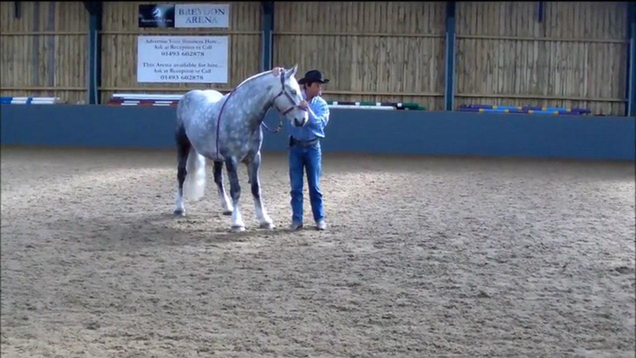 Head and Ear Shyness, Demo, Norfolk United Kingdom (Special Event)*