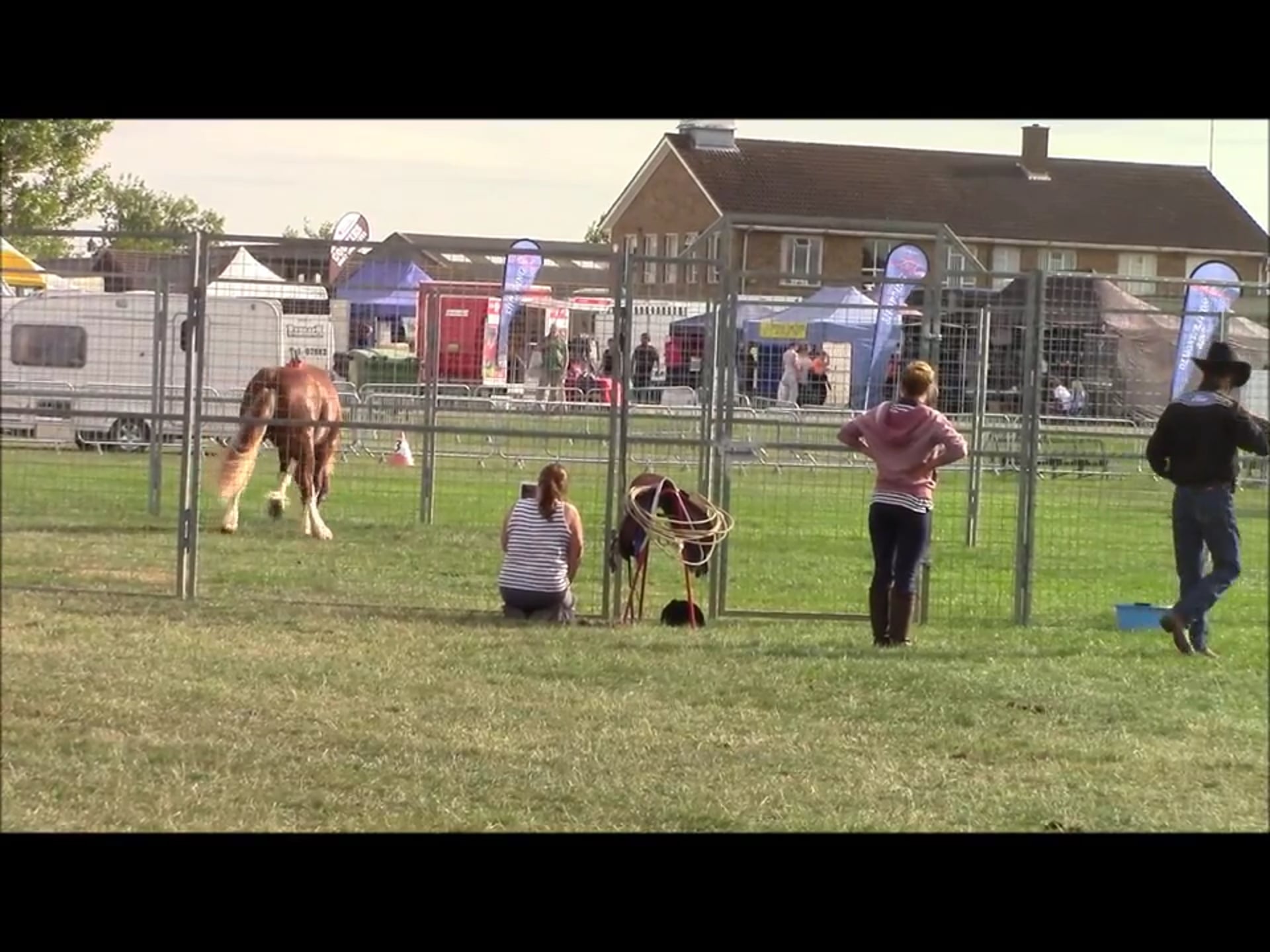 Aggressive Horse Issue, Mike Hughes, Essex England (Ground Exercises)*