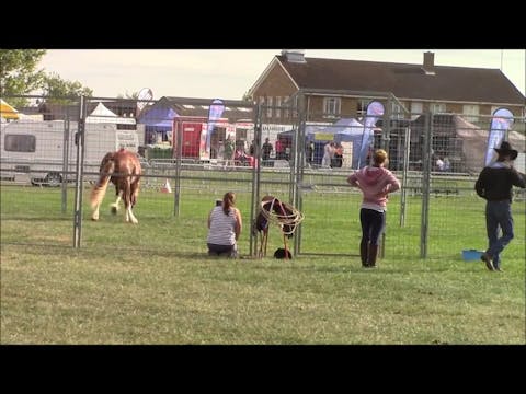 Aggressive Horse Issue, Mike Hughes, ...