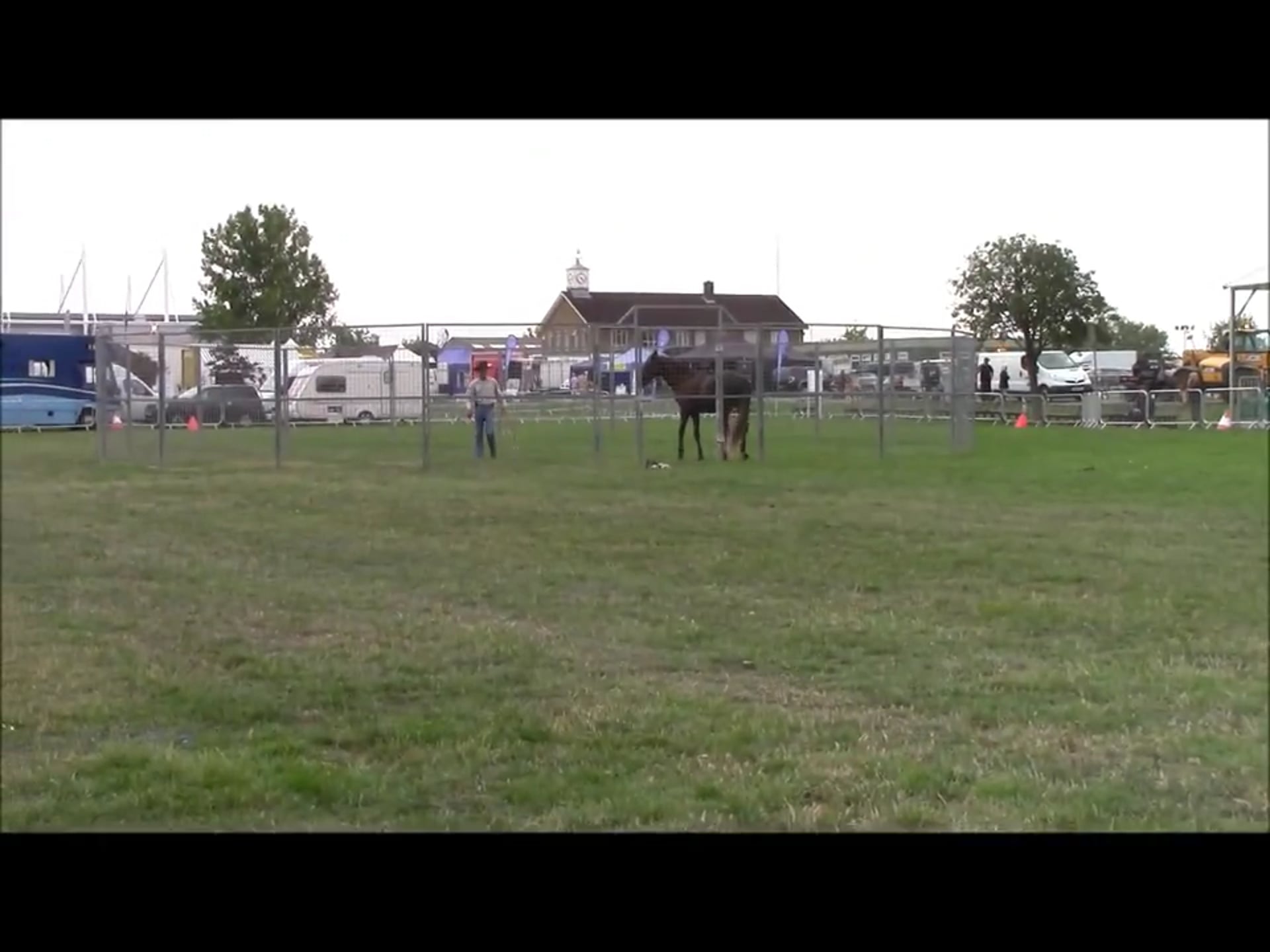 Advanced Round Penning Essex England (Ground Exercises)*