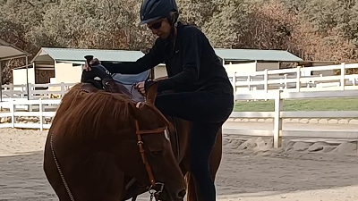 Patience on The Ground = Patience Under Saddle