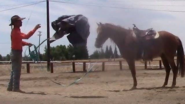 4 Exercises That Will Build Your Hors...