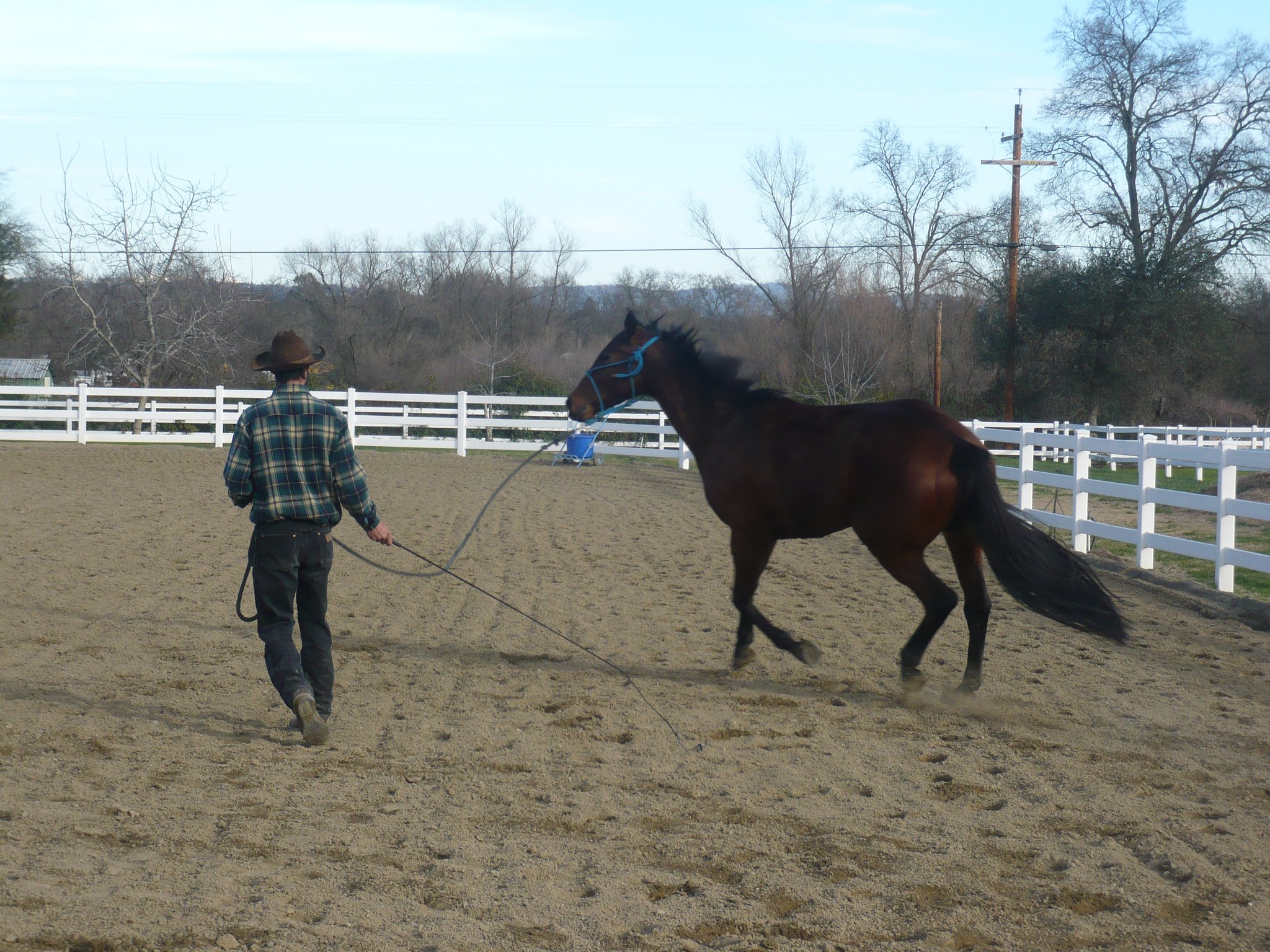 Article Vices & Stress Management Part 3