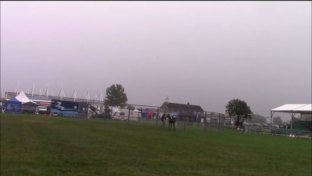 Teaching horses to lunge, Demo at Equifest, Essex England (Special Event)*